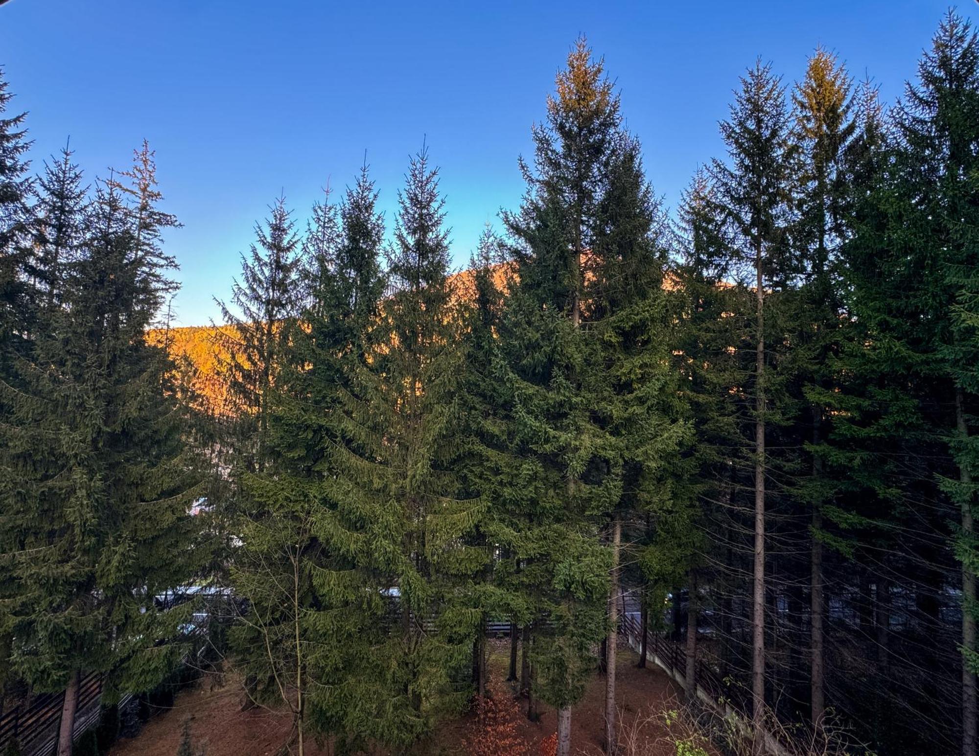 Impala Sinaia - Gazelle Apartment Bagian luar foto
