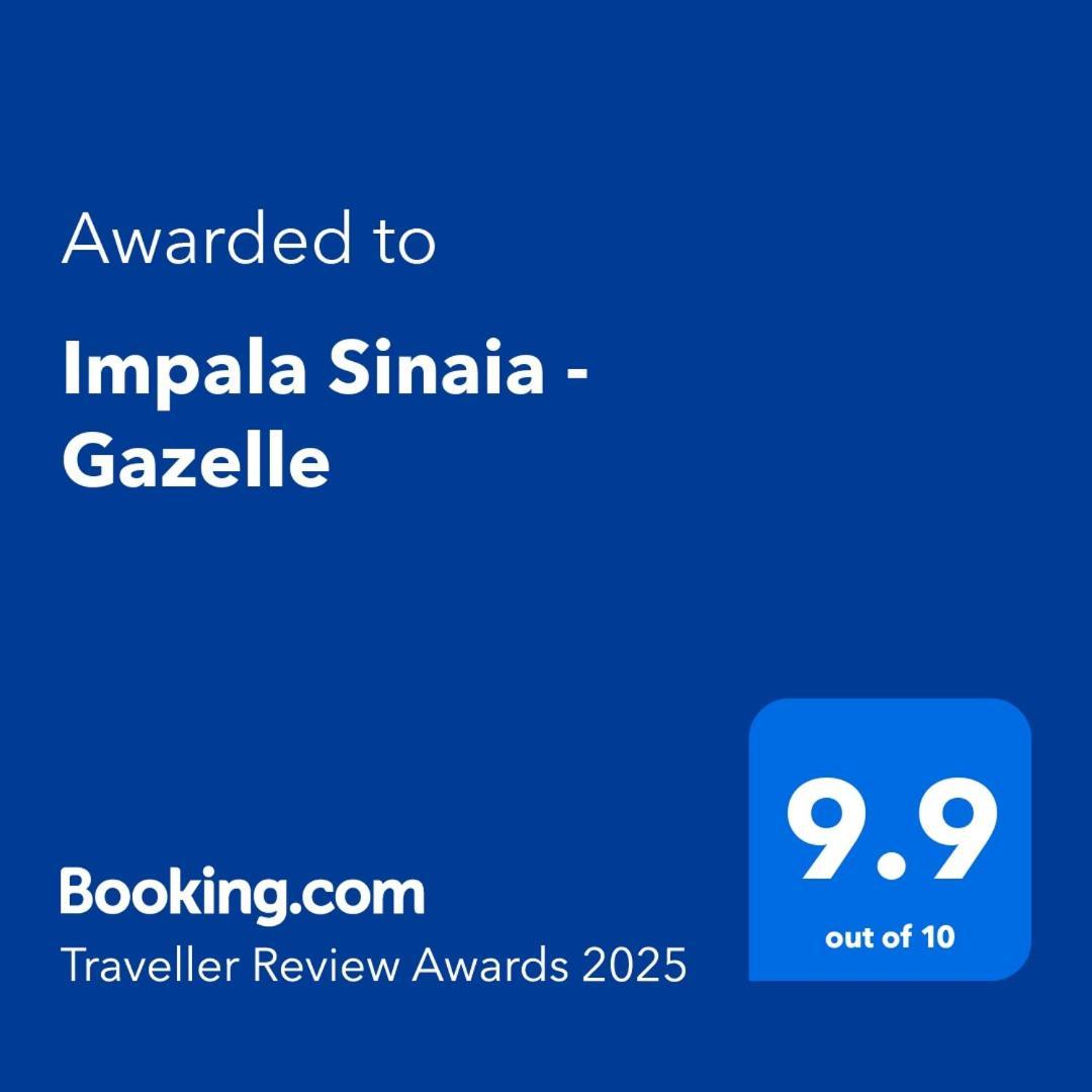Impala Sinaia - Gazelle Apartment Bagian luar foto